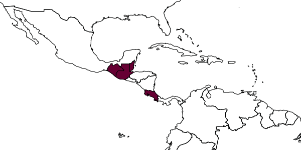 map of Alabagrus pecki     Sharkey, 1988